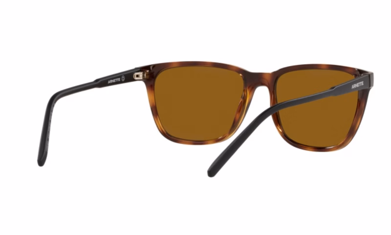 Arnette Cortex AN4291 277083 Arnette Cortex AN4291 277083