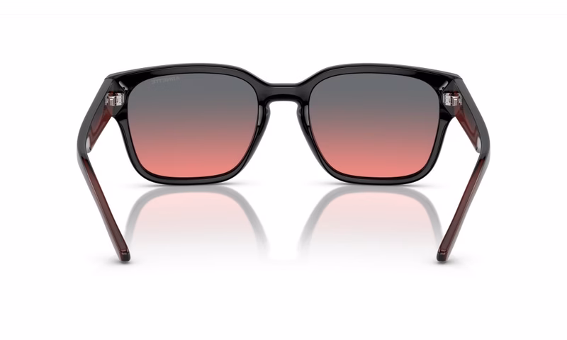 Arnette Hamie AN4325 275377 Arnette Hamie AN4325 275377