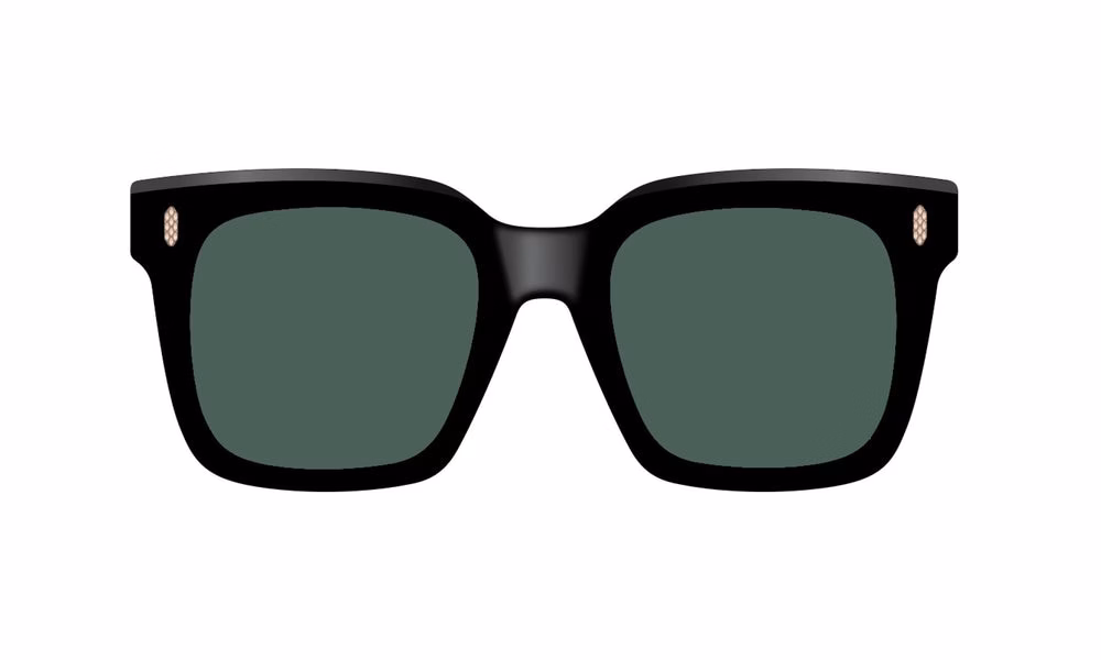 Cutler and Gross BRLE 0005 01 Cutler and Gross BRLE 0005 01