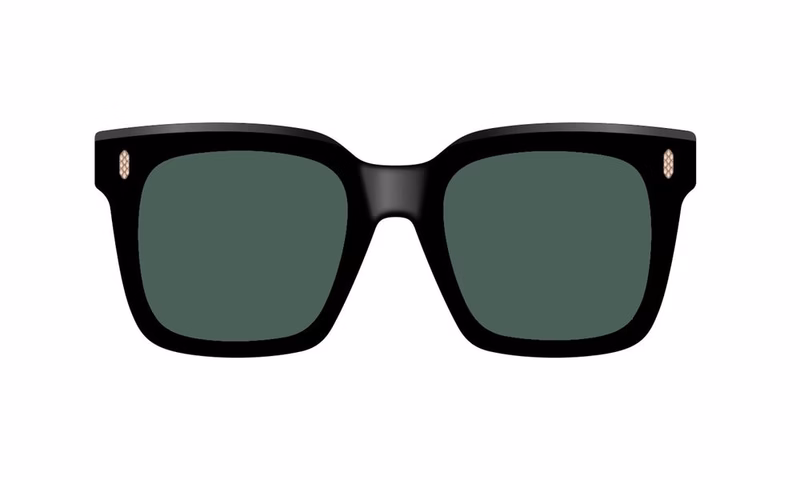 Cutler and Gross BRLE 0005 01 Cutler and Gross BRLE 0005 01