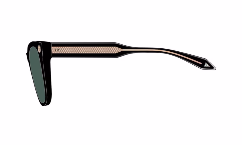 Cutler and Gross BRLE 0005 01 Cutler and Gross BRLE 0005 01