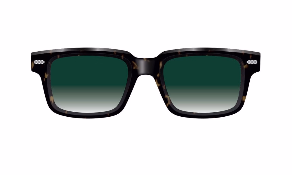 Cutler and Gross BRSN 0004 02 Cutler and Gross BRSN 0004 02