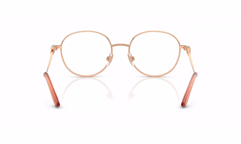 Dolce & Gabbana DG1365 1369 Dolce & Gabbana DG1365 1369