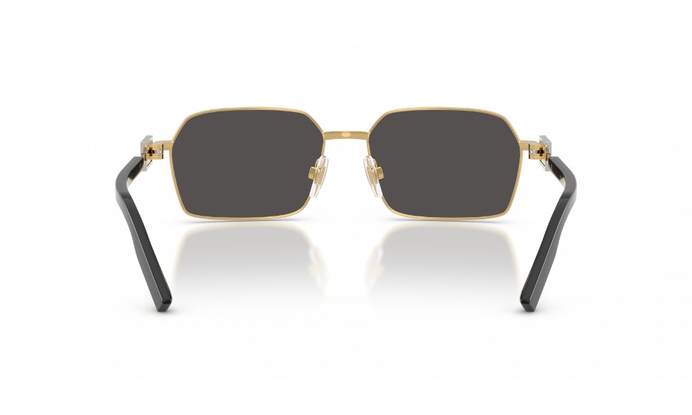 Dolce & Gabbana DG2316 02/87 Dolce & Gabbana DG2316 02/87