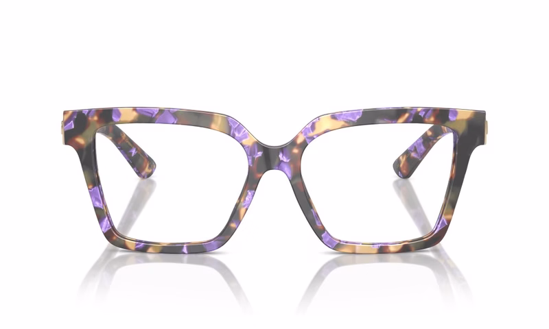 Dolce & Gabbana DG3395 3439 51 Dolce & Gabbana DG3395 3439 51