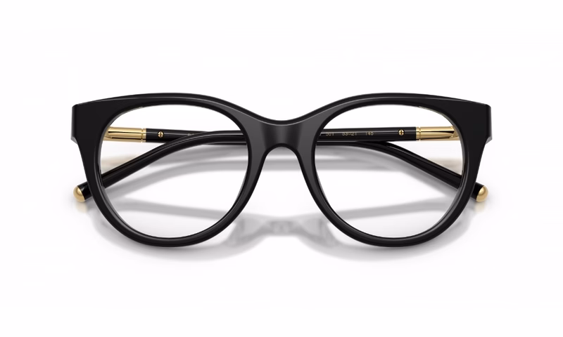 Dolce & Gabbana DG3433 501 51 Dolce & Gabbana DG3433 501 51