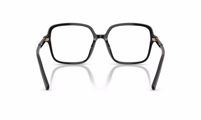Dolce & Gabbana DG3442 501 53 Dolce & Gabbana DG3442 501 53