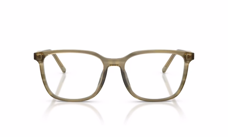 Dolce & Gabbana DG3445 3480 53 Dolce & Gabbana DG3445 3480 53