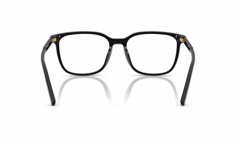 Dolce & Gabbana DG3445 501 53 Dolce & Gabbana DG3445 501 53