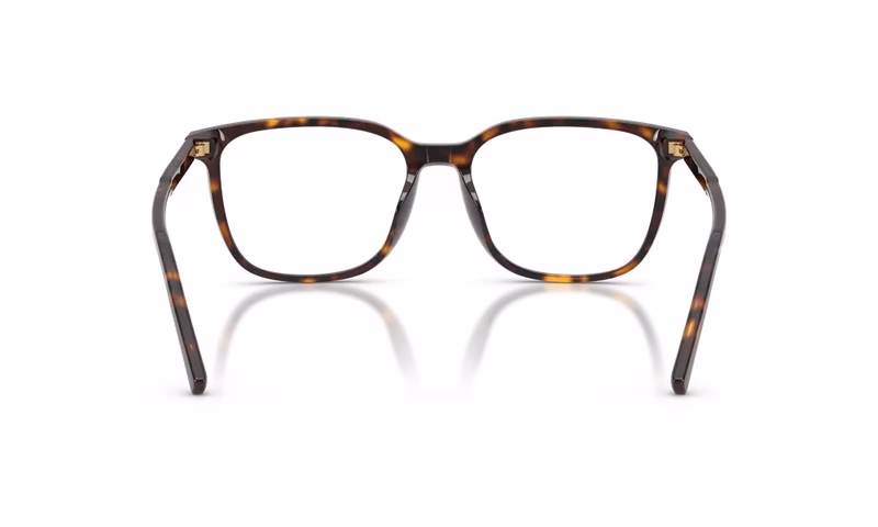 Dolce & Gabbana DG3445 502 53 Dolce & Gabbana DG3445 502 53