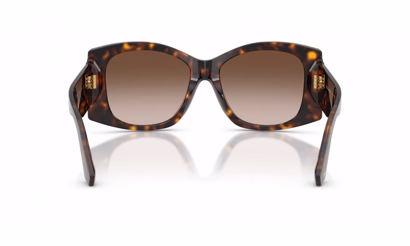 Dolce & Gabbana DG4501 502/13 Dolce & Gabbana DG4501 502/13
