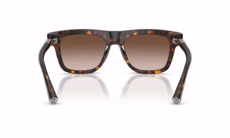 Dolce & Gabbana DG4521 502/13 Dolce & Gabbana DG4521 502/13