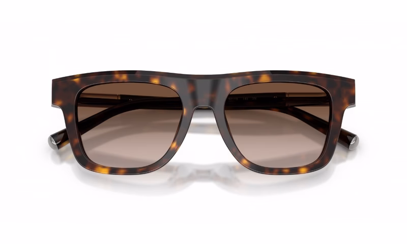 Dolce & Gabbana DG4521 502/13 Dolce & Gabbana DG4521 502/13