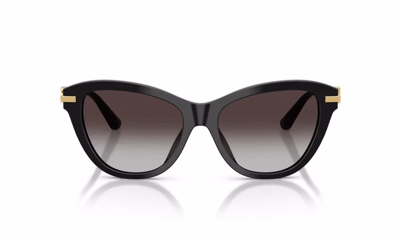 Dolce & Gabbana DG4534 501/8G Dolce & Gabbana DG4534 501/8G