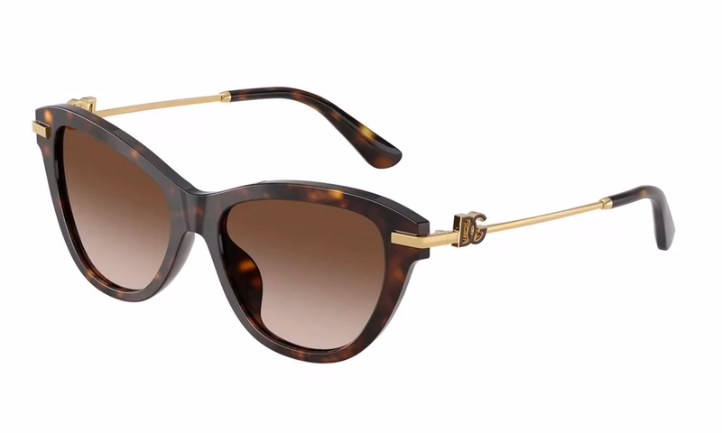 Dolce & Gabbana DG4534 502/13 Dolce & Gabbana DG4534 502/13