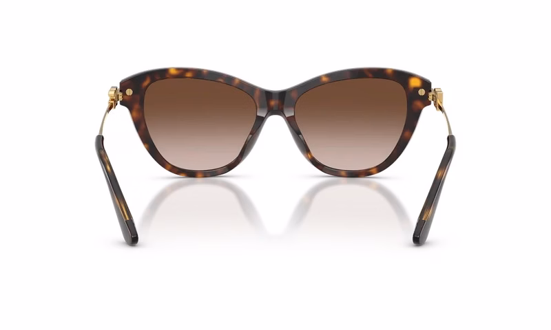 Dolce & Gabbana DG4534 502/13 Dolce & Gabbana DG4534 502/13