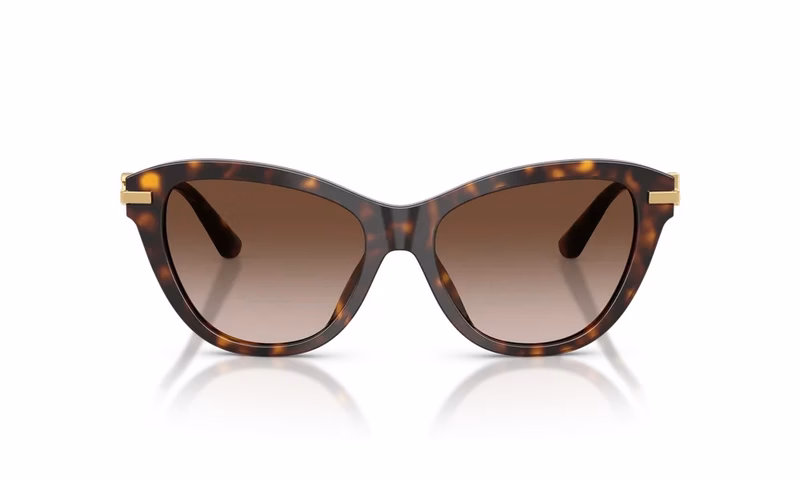 Dolce & Gabbana DG4534 502/13 Dolce & Gabbana DG4534 502/13