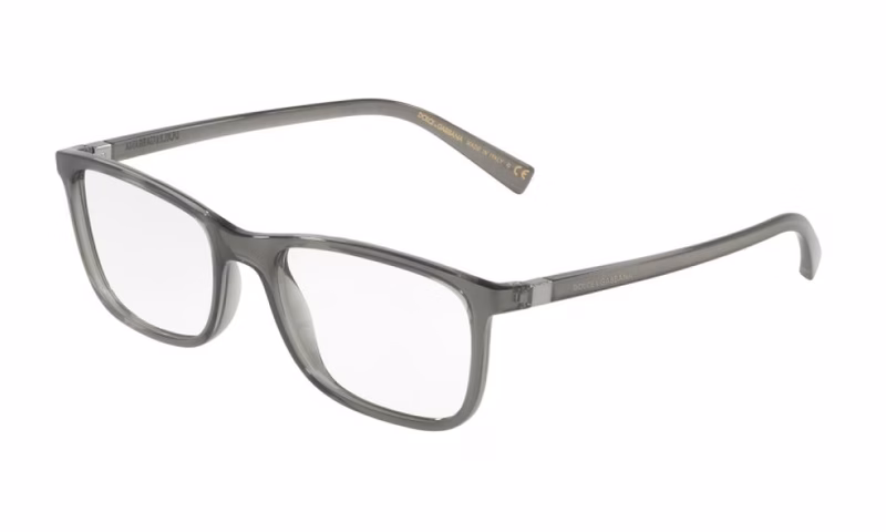 Dolce & Gabbana DG5027 3160 Dolce & Gabbana DG5027 3160