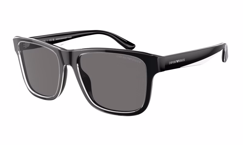 Emporio Armani EA4208 605187 Emporio Armani EA4208 605187