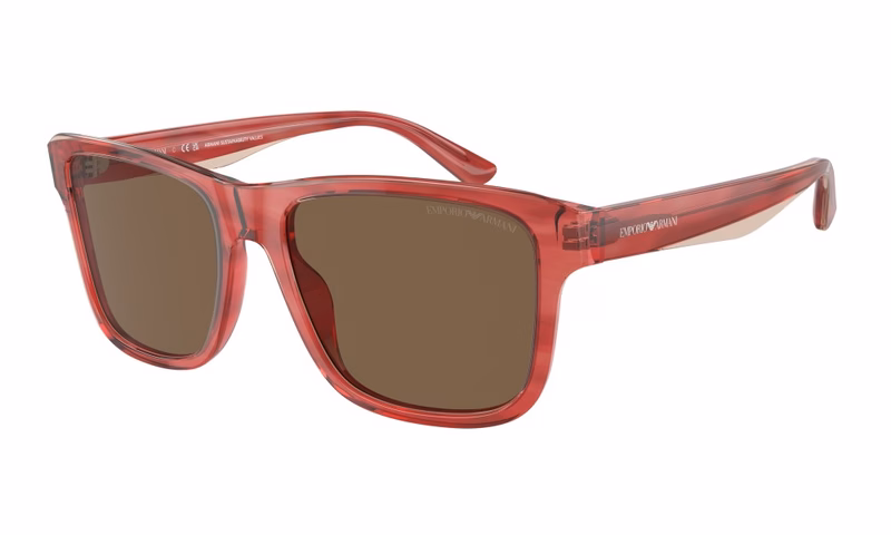 Emporio Armani EA4208 605373 Emporio Armani EA4208 605373