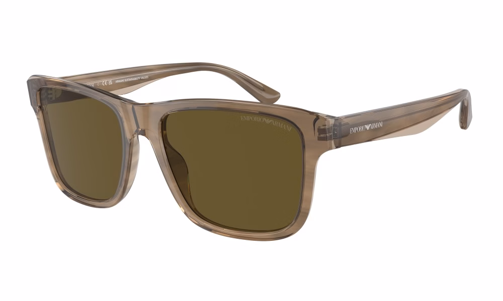 Emporio Armani EA4208 605573 Emporio Armani EA4208 605573