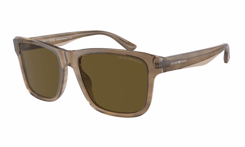 Emporio Armani EA4208 605573 Emporio Armani EA4208 605573