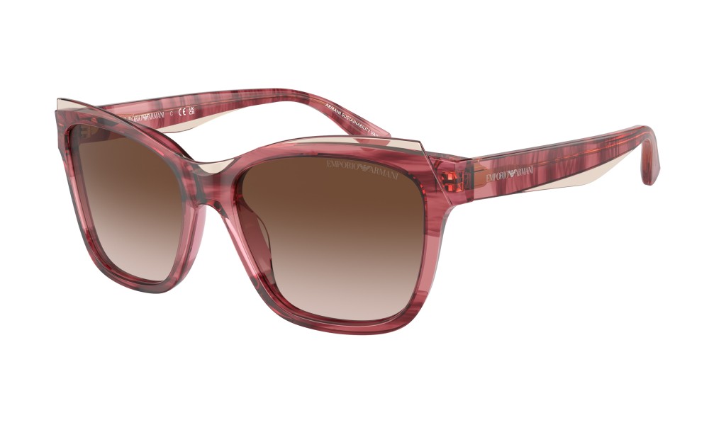 Emporio Armani EA4209 605713 Emporio Armani EA4209 605713