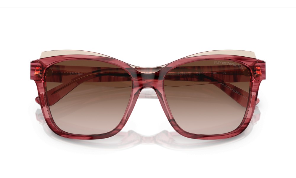 Emporio Armani EA4209 605713 Emporio Armani EA4209 605713