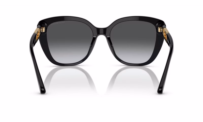 Emporio Armani EA4214U 50178G Emporio Armani EA4214U 50178G