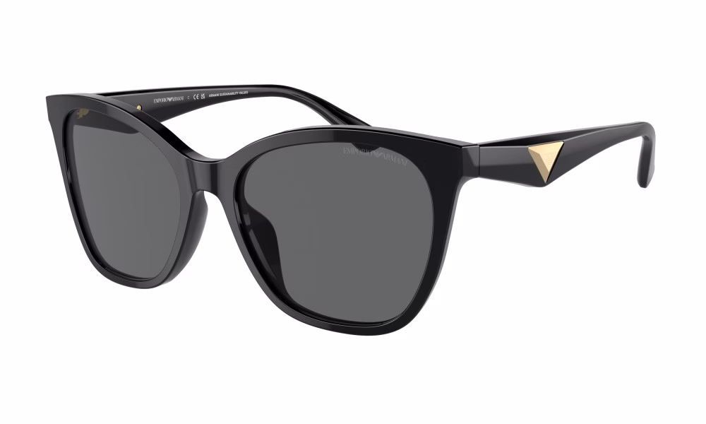 Emporio Armani EA4222U 501787 Emporio Armani EA4222U 501787