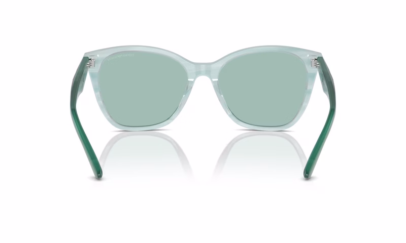 Emporio Armani EA4222U 611271 Emporio Armani EA4222U 611271