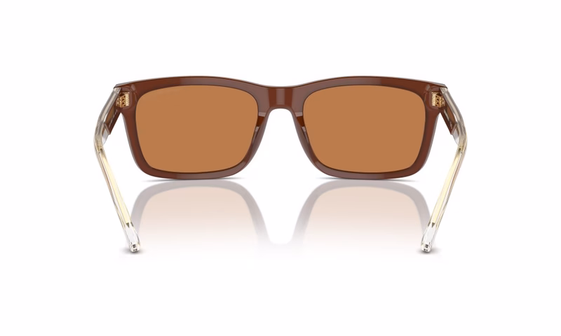 Emporio Armani EA4224 609573 Emporio Armani EA4224 609573