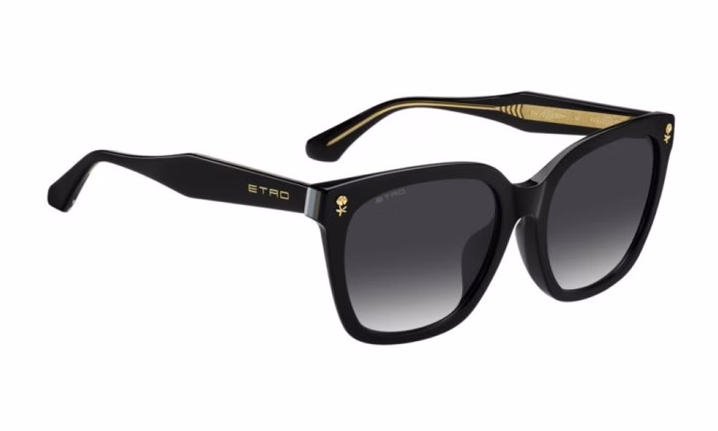 Etro ETRO 0065/F/S 807 1I Etro ETRO 0065/F/S 807 1I