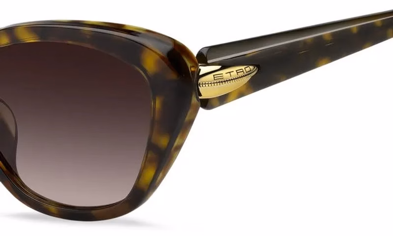 Etro ETRO 0133/F/S 086 HA Etro ETRO 0133/F/S 086 HA