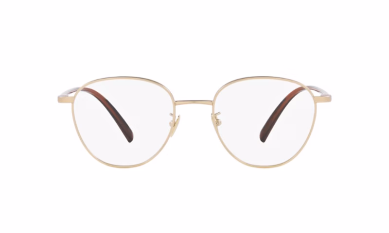 Giorgio Armani AR5134 3002 Giorgio Armani AR5134 3002