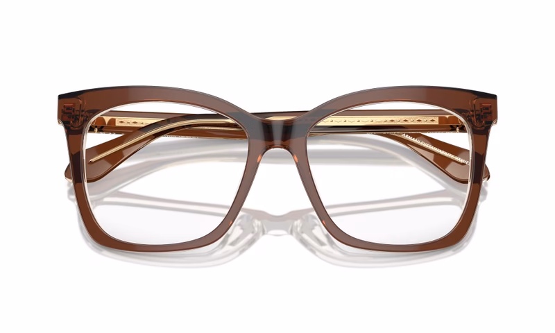 Giorgio Armani AR7254U 6090 52 Giorgio Armani AR7254U 6090 52