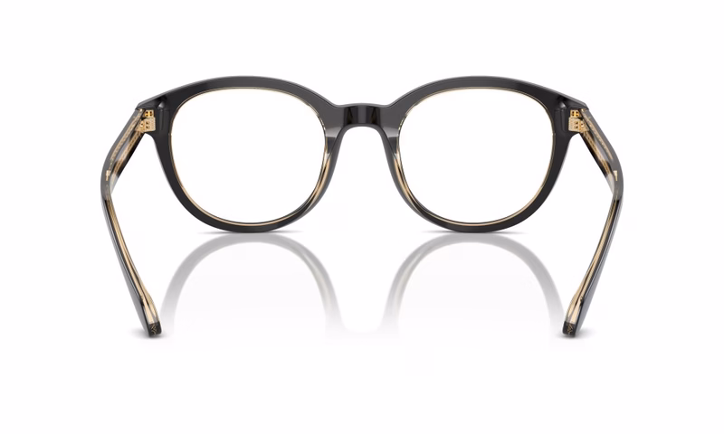 Giorgio Armani AR7256 6084 48 Giorgio Armani AR7256 6084 48