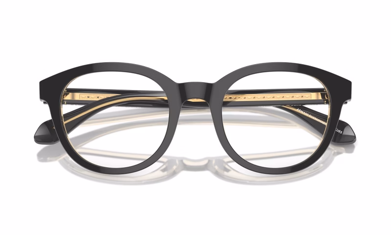 Giorgio Armani AR7256 6084 48 Giorgio Armani AR7256 6084 48