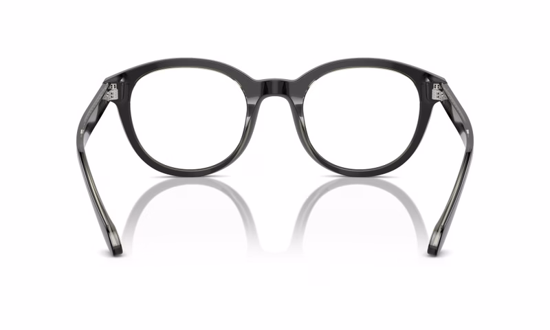 Giorgio Armani AR7256 6087 48 Giorgio Armani AR7256 6087 48