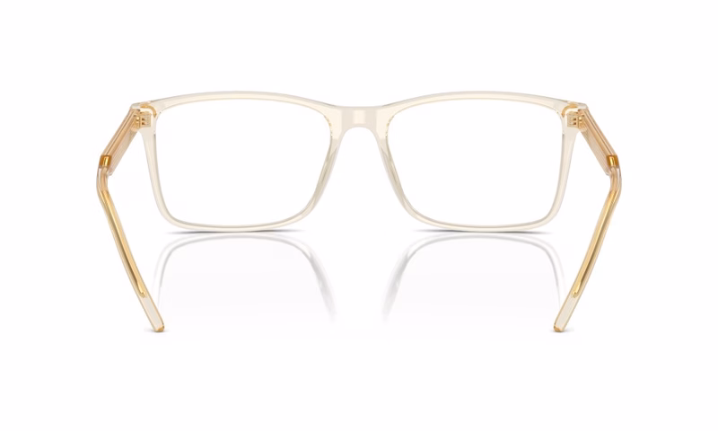 Giorgio Armani AR7258 6077 55 Giorgio Armani AR7258 6077 55