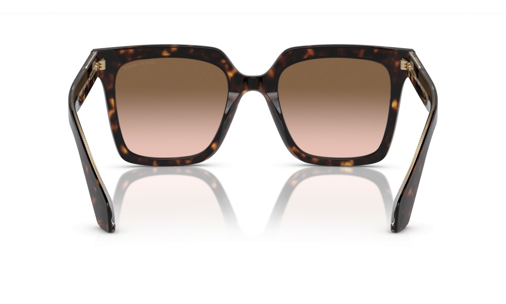 Giorgio Armani AR8156 587951 Giorgio Armani AR8156 587951