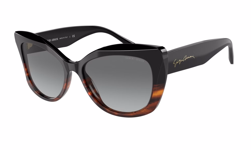 Giorgio Armani AR8161 592811 Giorgio Armani AR8161 592811
