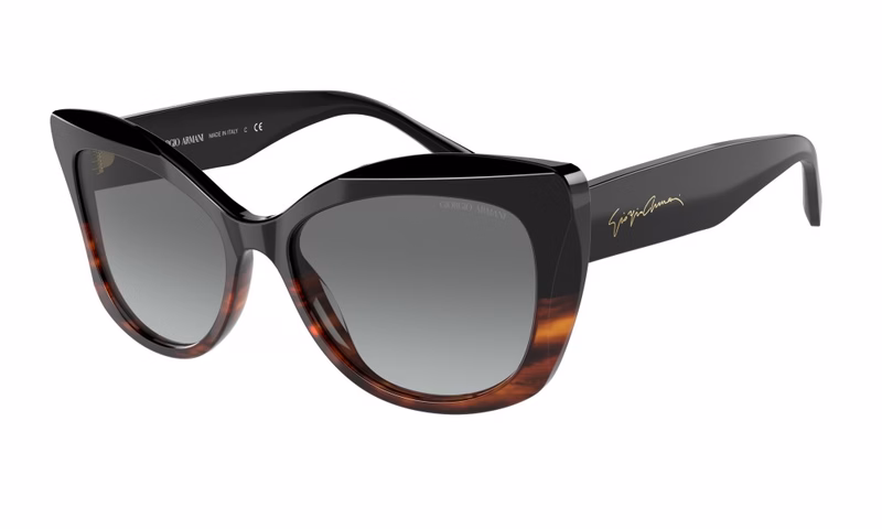 Giorgio Armani AR8161 592811 Giorgio Armani AR8161 592811