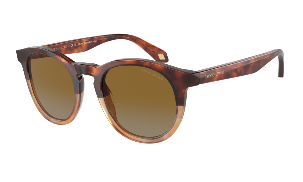 Giorgio Armani AR8192 6034B2 Giorgio Armani AR8192 6034B2