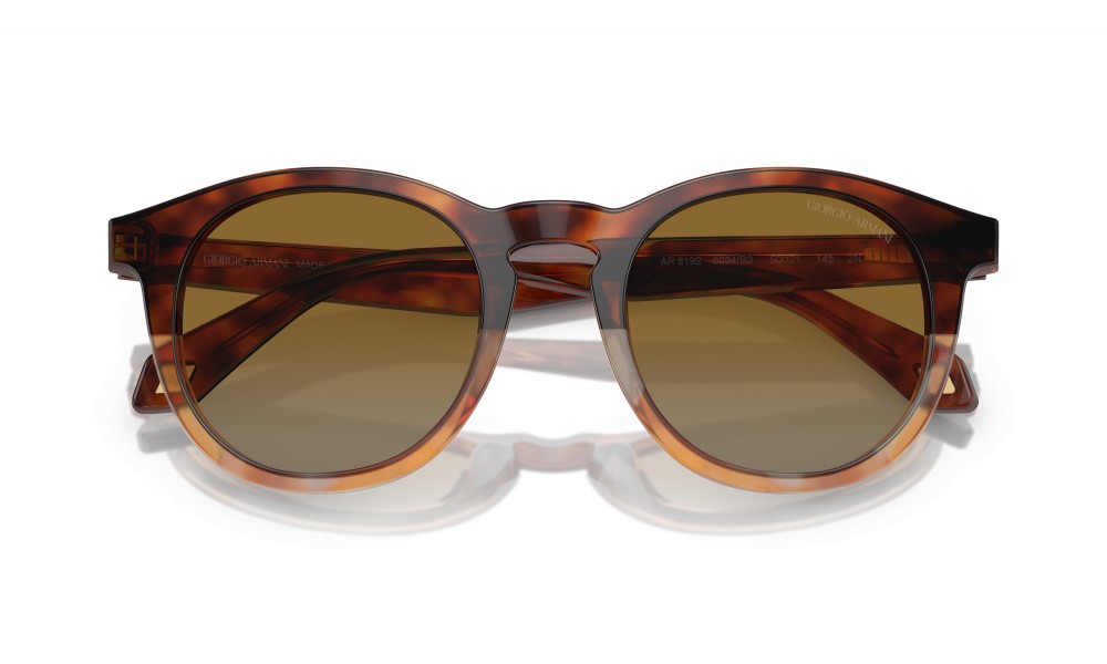 Giorgio Armani AR8192 6034B2 Giorgio Armani AR8192 6034B2
