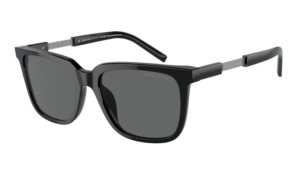 Giorgio Armani AR8202U 587587 Giorgio Armani AR8202U 587587