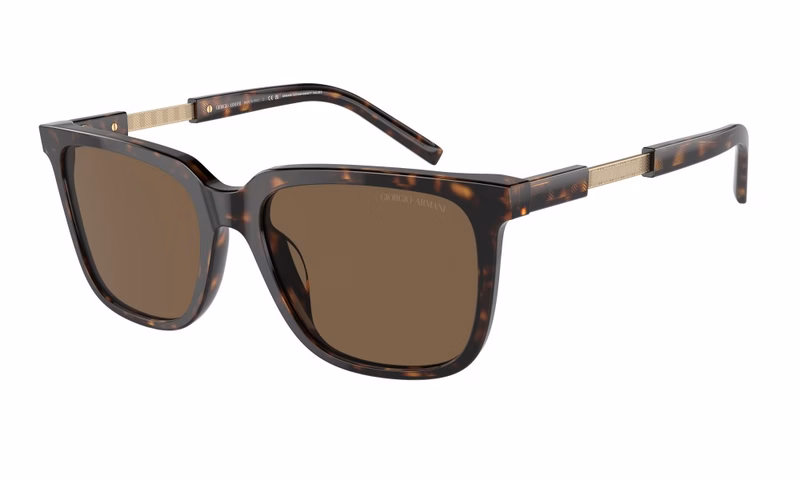 Giorgio Armani AR8202U 587973 Giorgio Armani AR8202U 587973
