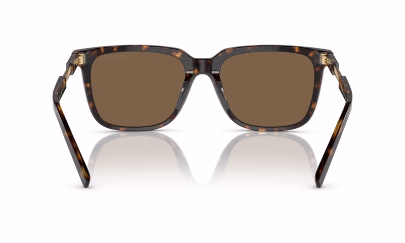 Giorgio Armani AR8202U 587973 Giorgio Armani AR8202U 587973