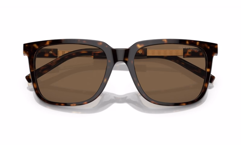 Giorgio Armani AR8202U 587973 Giorgio Armani AR8202U 587973