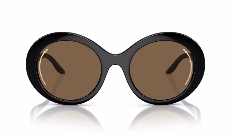 Giorgio Armani AR8204 500173 Giorgio Armani AR8204 500173